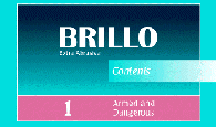 Brillo Magazine screenshot